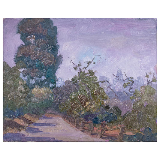 Debs Park Violet Hue