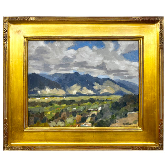 Arroyo Seco View