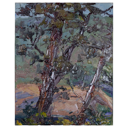 San Gabriel Through the Trees