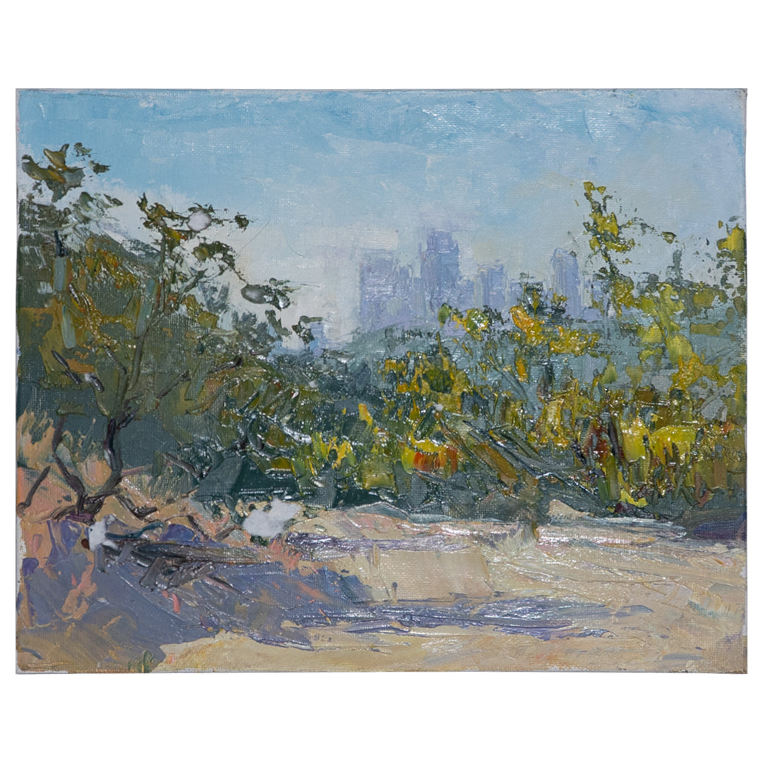 LA Skyline from Debs Park