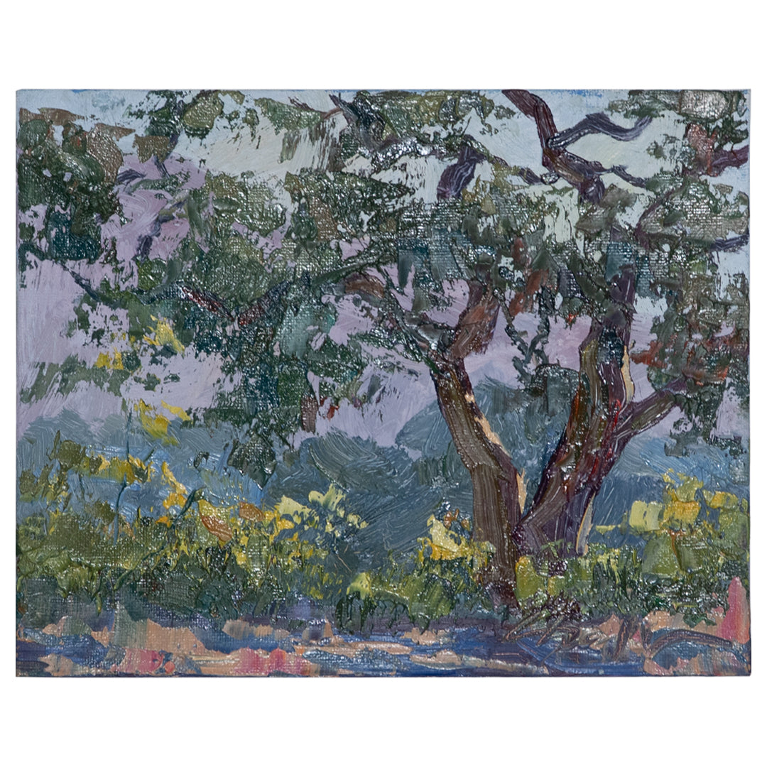 Shapes of Light at Eaton