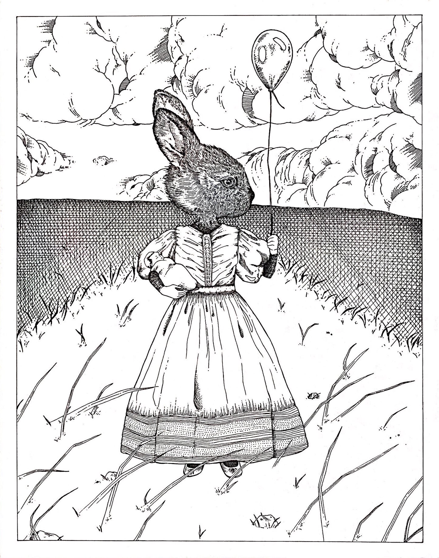 Bunny