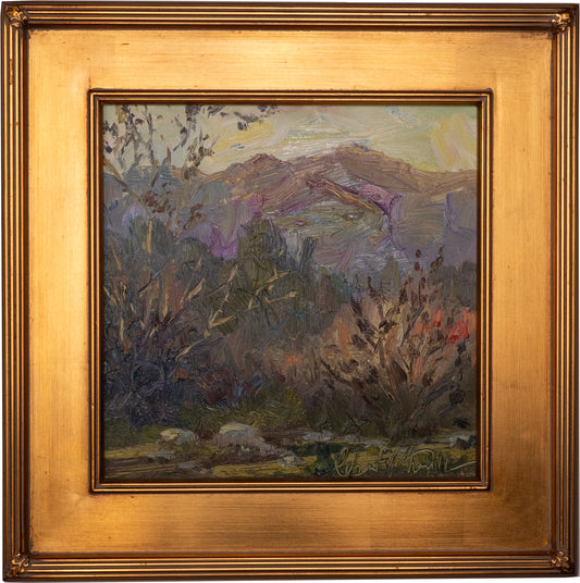 Canyon Twilight