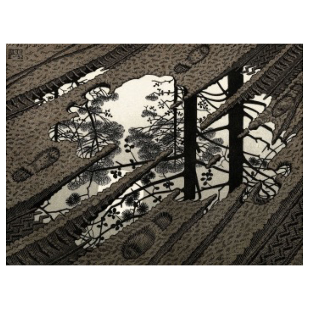 Puddle #378
