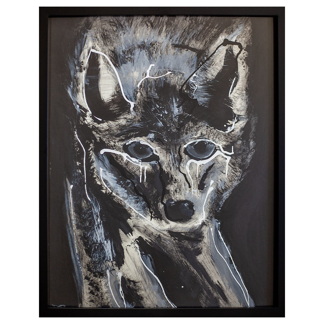 Coyote No. 1