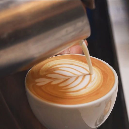 Rosebud Coffee: Where Coffee, Art, and Culture Meet