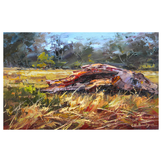 Fallen Tree