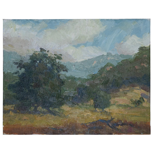 San Gabriel Oak Field