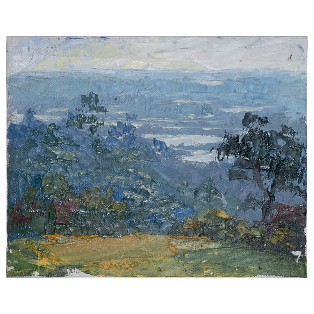 Los Angeles Basin from Elysian Park