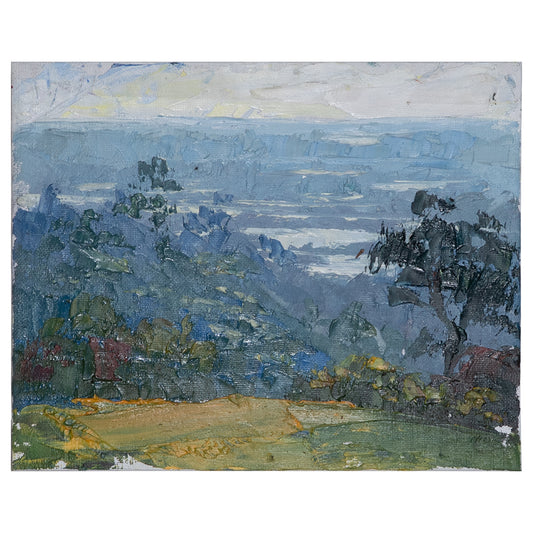 Los Angeles Basin from Elysian Park