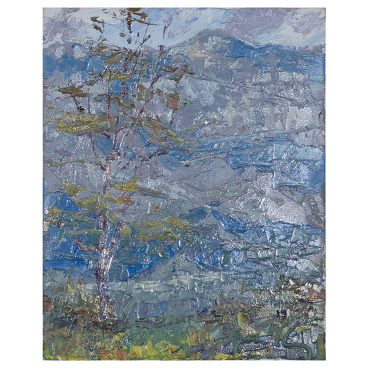 San Gabriel Textures