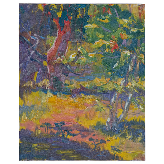 Arroyo Dappled Light