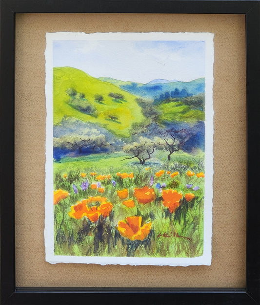 Poppies and Hills