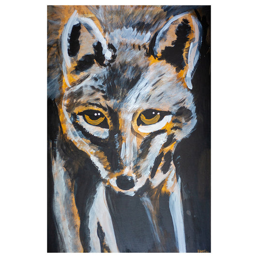 Coyote No. 2