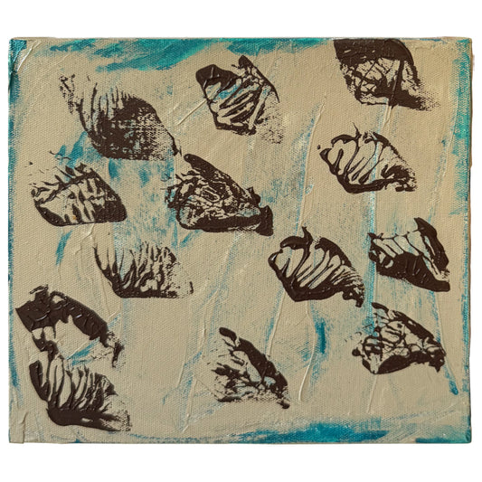 Shells